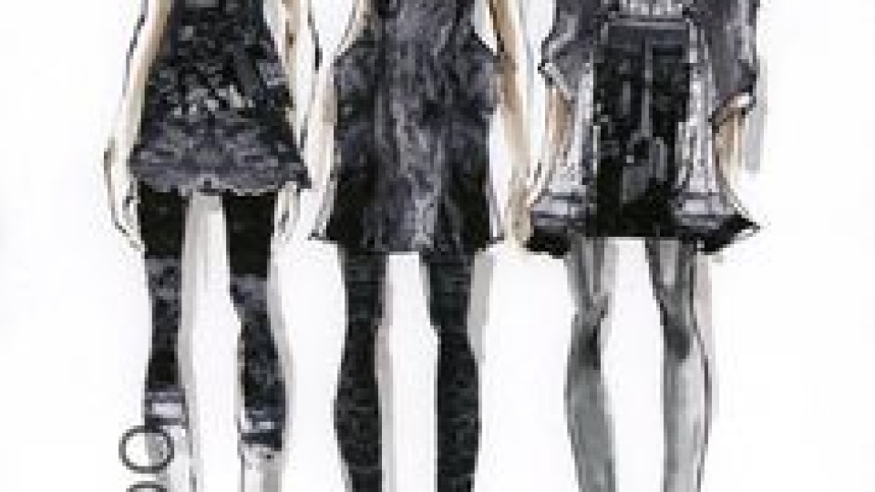 Tailor Studio Gamba 2
