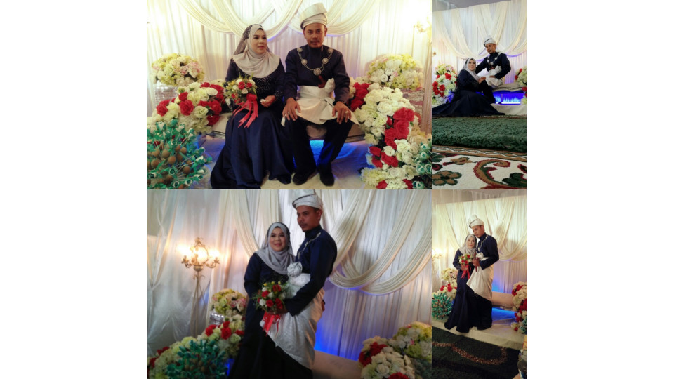 Zr Creations Gamba 2
